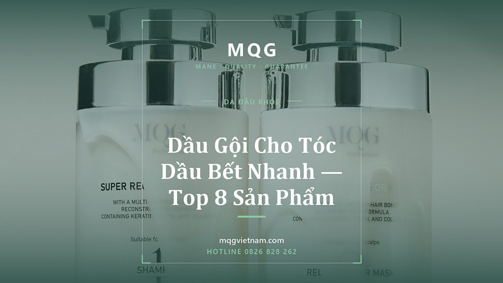 Dầu Gội Cho Tóc Dầu Bết Nhanh — Top 8 Sản Phẩm 2026
