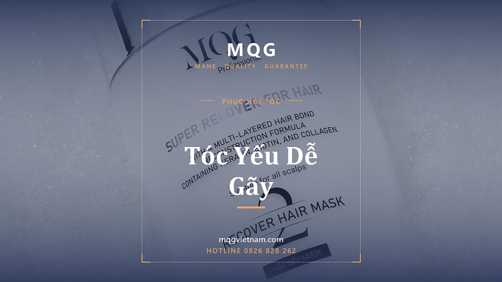 Tóc Yếu Dễ Gãy: 6 Cách Làm Chắc Tóc Từ Bên Trong