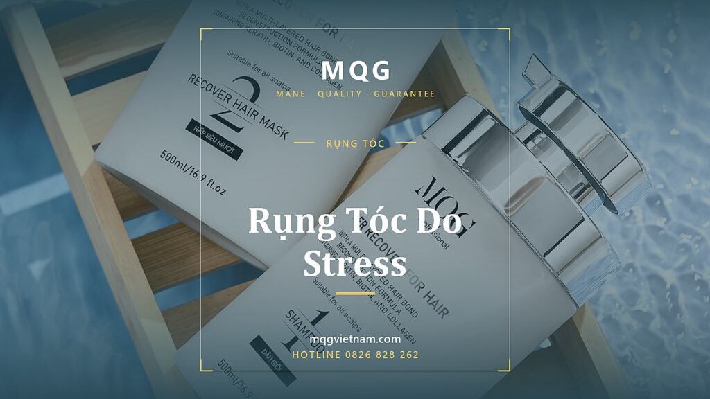 Rụng Tóc Do Stress: Telogen Effluvium Và Cách Phục Hồi