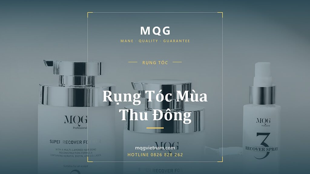 Rụng Tóc Mùa Thu Đông: Hiện Tượng Bình Thường Hay Bệnh Lý?