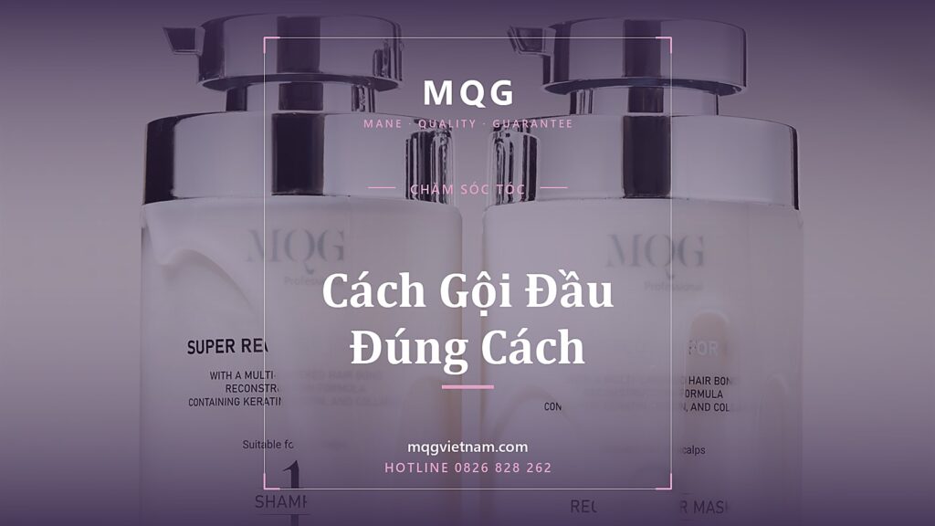 Cách Gội Đầu Đúng Cách: 7 Bước Chuẩn Salon Cho Tóc Khỏe