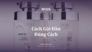 Cách Gội Đầu Đúng Cách: 7 Bước Chuẩn Salon Cho Tóc Khỏe