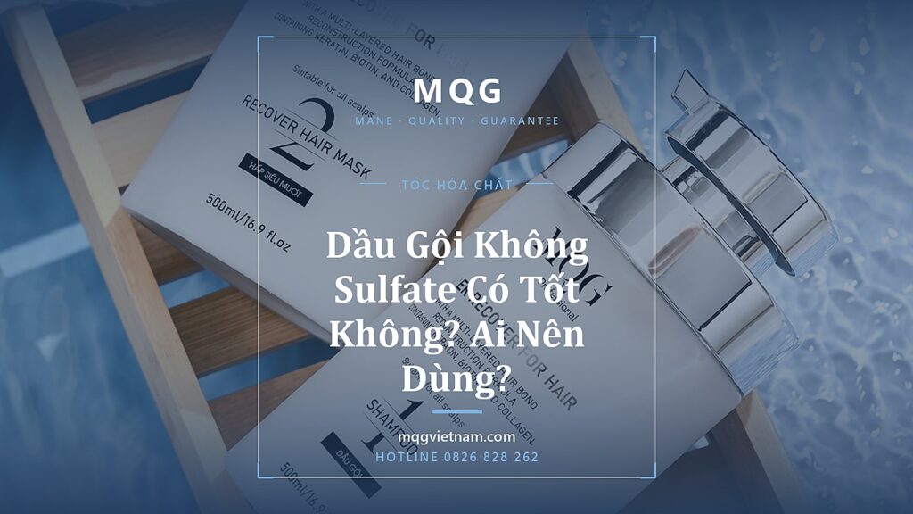 Những Dầu Gội Không Chứa Sulfate: Là Gì, Có Tốt Không, Ai Nên Dùng