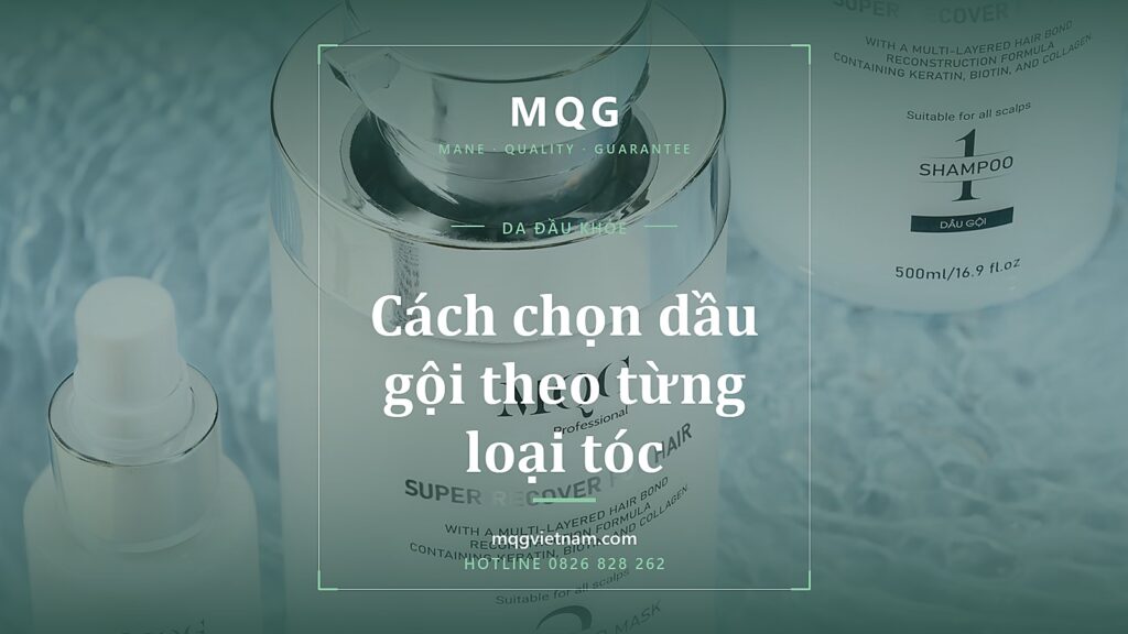 Cách chọn dầu gội theo từng loại tóc (2026)