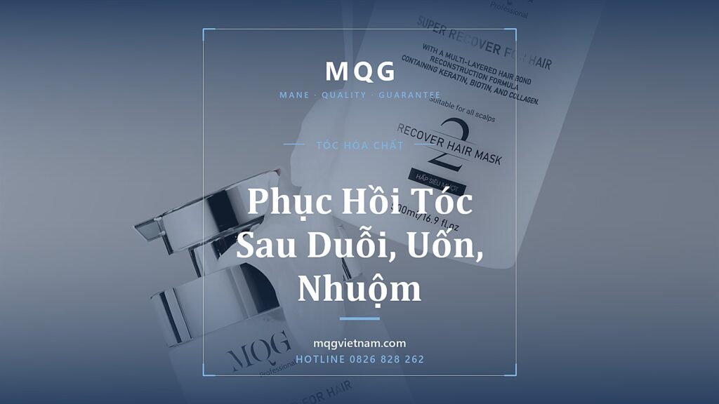 Phục Hồi Tóc Sau Duỗi, Uốn, Nhuộm (2026)