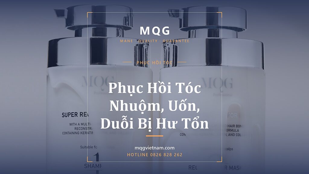 Phục Hồi Tóc Nhuộm, Uốn, Duỗi Bị Hư Tổn (2026)