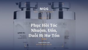 Phục Hồi Tóc Nhuộm, Uốn, Duỗi Bị Hư Tổn (2026)